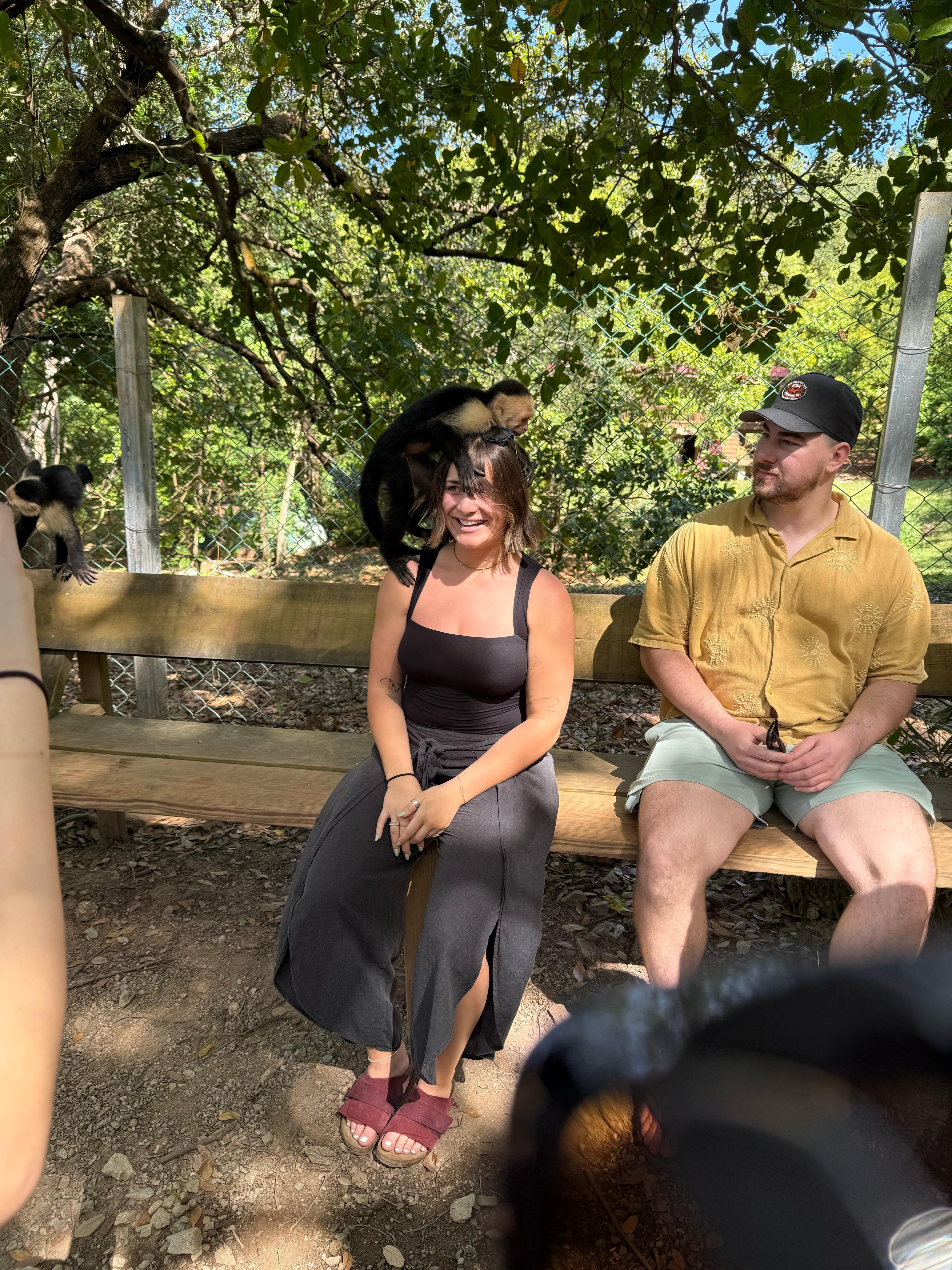 Sloth Sanctuary